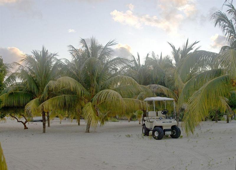Villas Coco Resort - All Suites (Adults Only) Isla Mujeres Luaran gambar